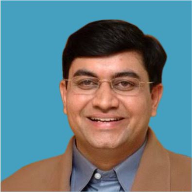 Mr. Kamendu Joshi